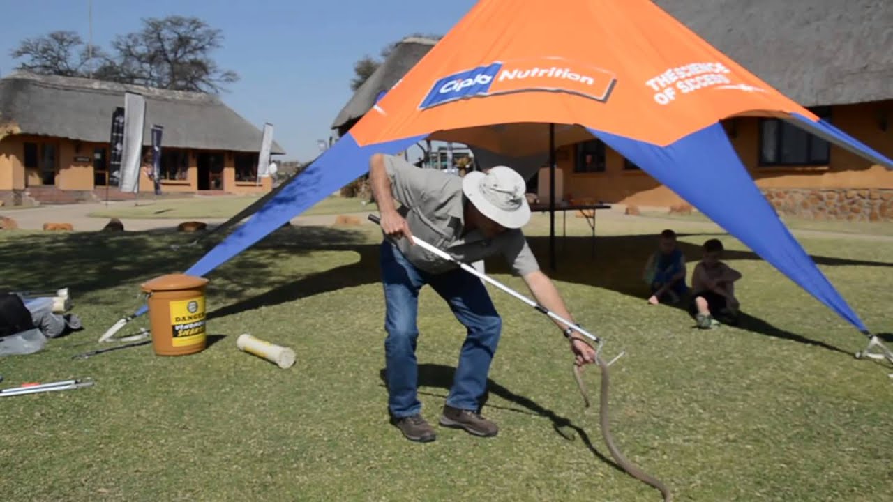 African Snakebite Institute
