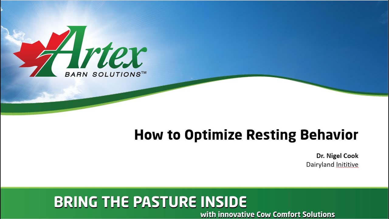How to Optimize Resting Behaviour