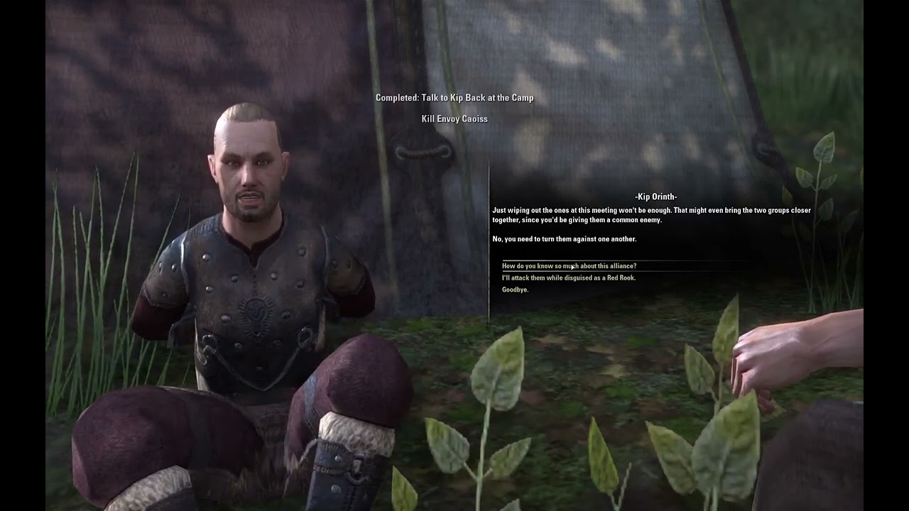 More Bandits and Bloodthorns - Glenumbra 11 - Daggerfall Covenant Zones