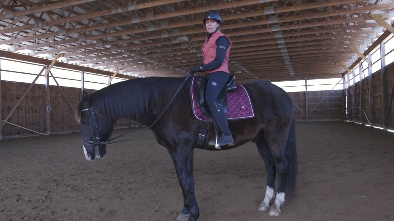 How to Improve Your Trot Rhythm - Learn this fun exercise for you and your horse.#trottinghorse