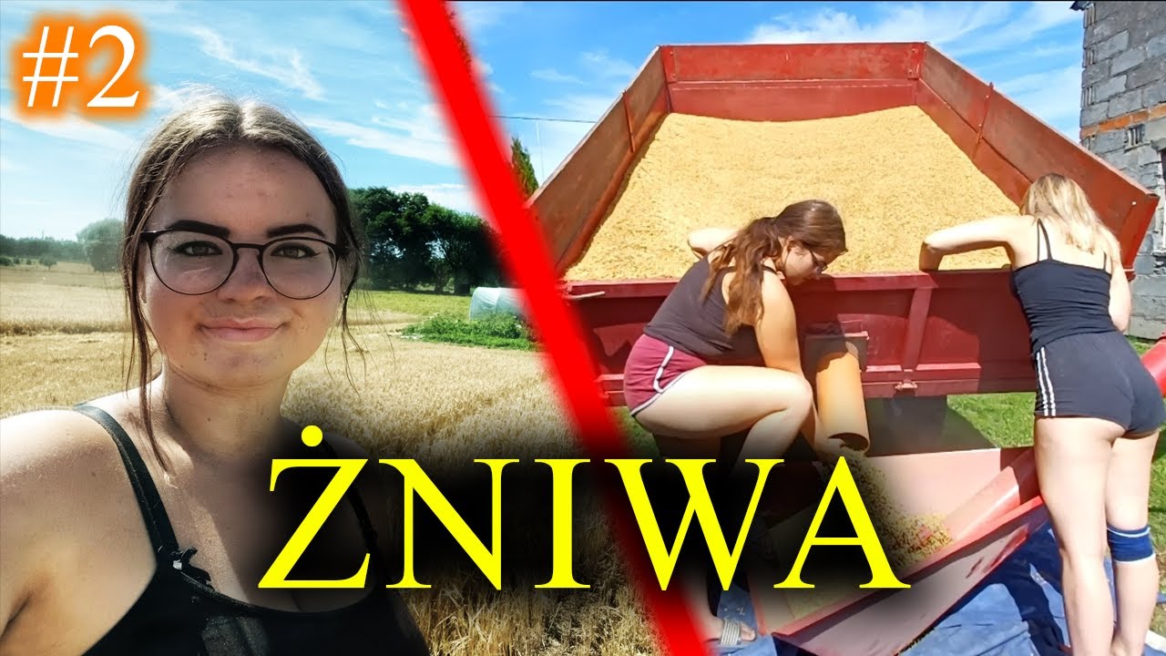 ŻNIWA 2022 // Odwozimy zboże! // Dziewczyna z Agro / Vlog#59