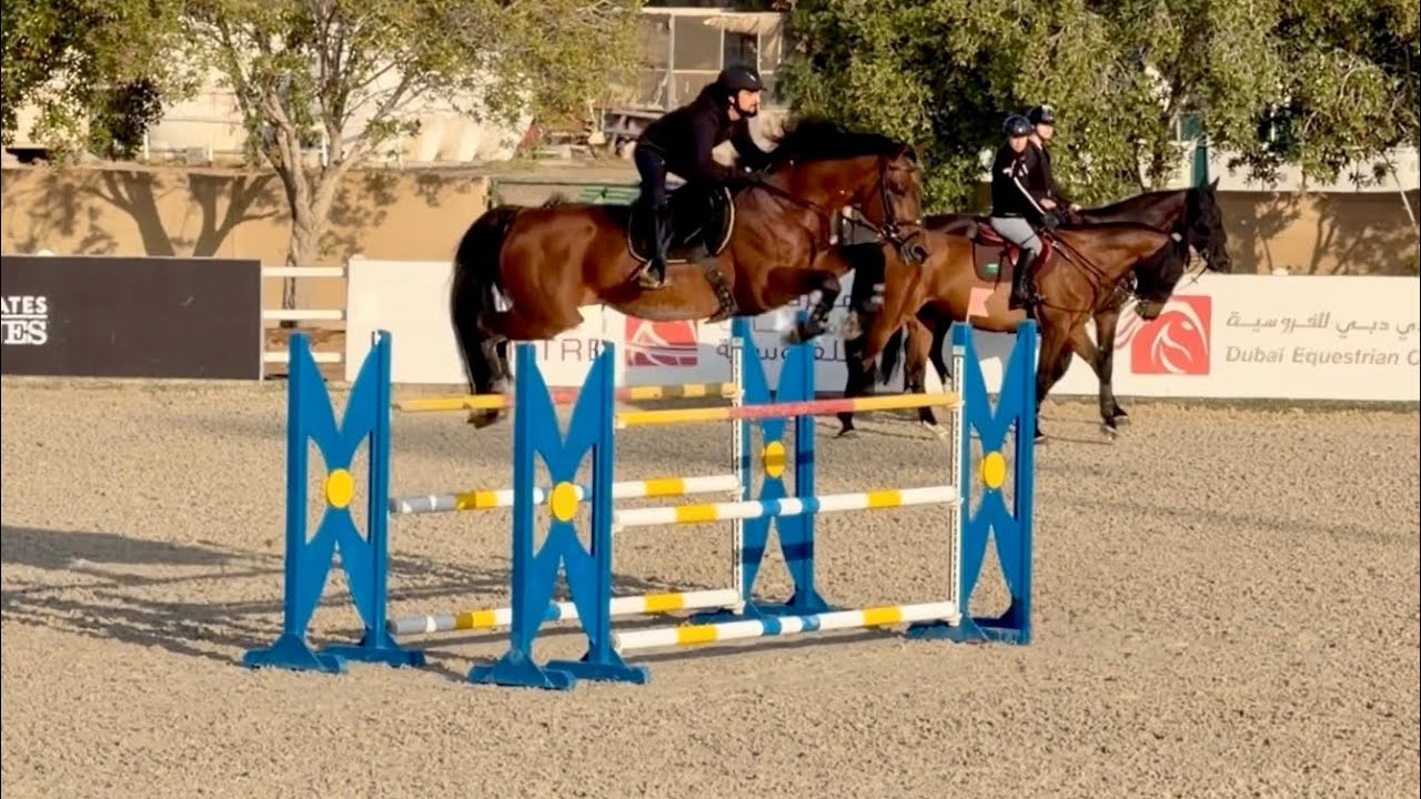 Galb DXB (Cornet Obolensky × Cassini I) bringing power, scope, & a great mindset to every round!! 🔥🚀