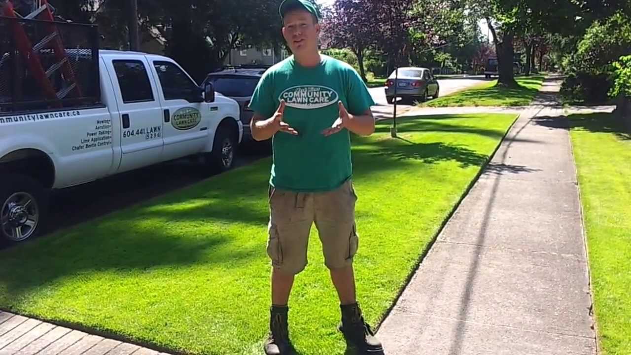 Chafer Beetle Control in Vancouver