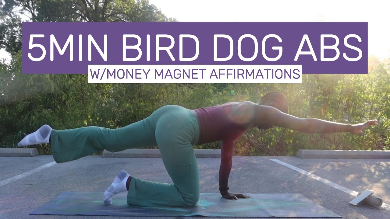 5MIN BIRD DOG AB VARIATION WORKOUT // NO EQUIPMENT || MONEY MAGNET AFFIRMATIONS