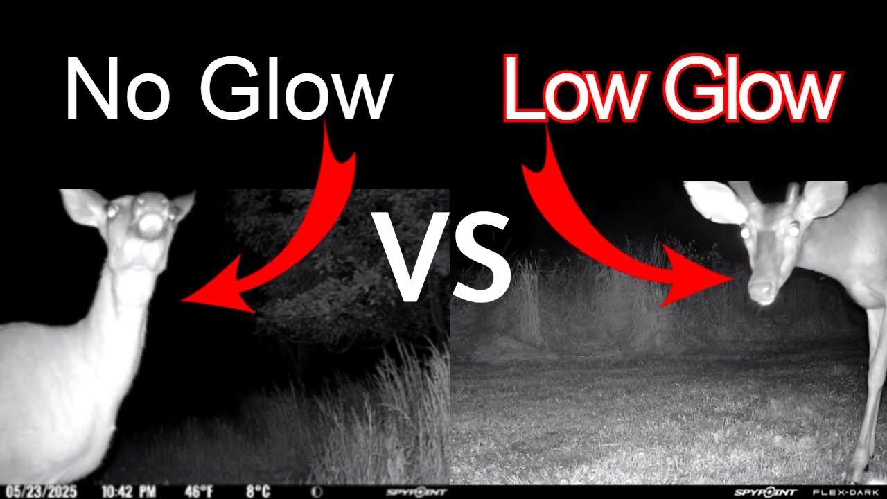 Spypoint Flex DARK: Switch from Low Glow to No Glow (Surprising Results)