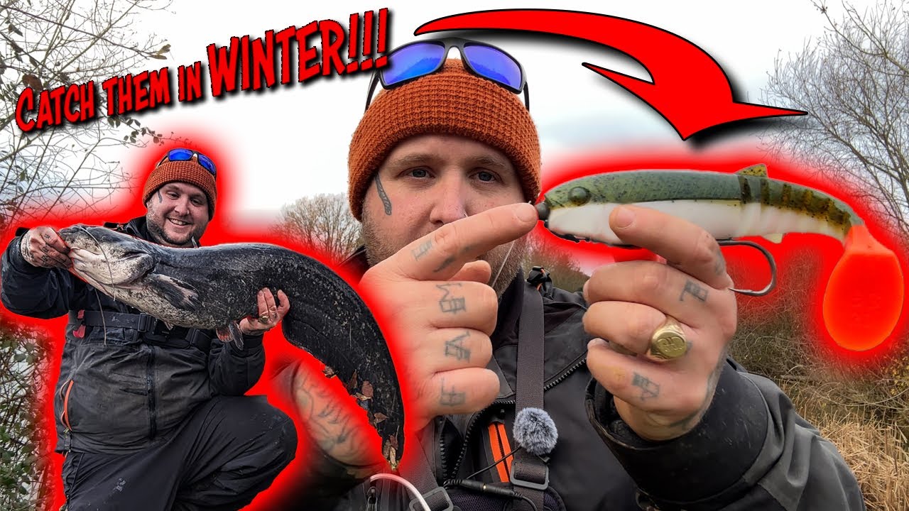 How To Catch Wels Catfish On Lures! IN THE UK!!