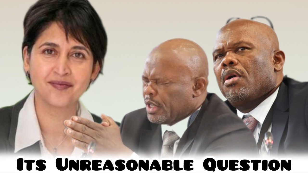 WATCH | Tension rises between Adv Hassim and General Sibiya: “You’re very wrong to say that”