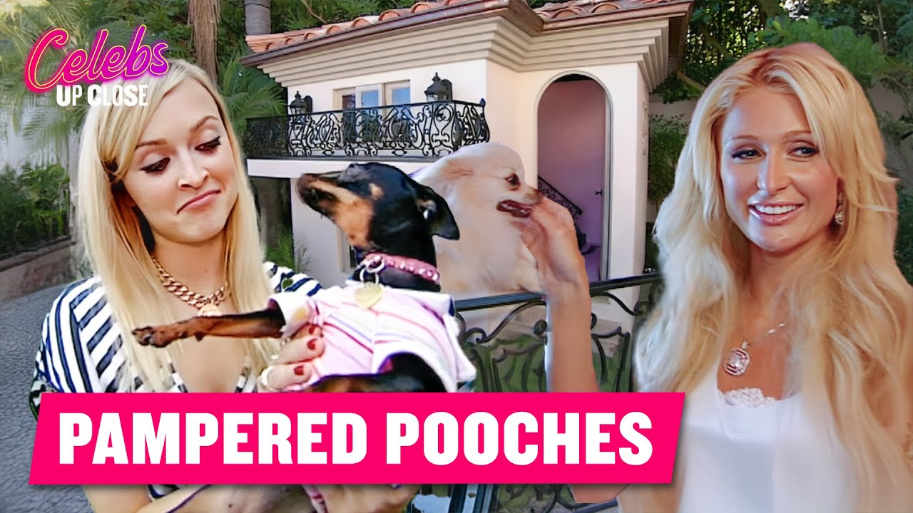 Paris Hilton's Pups Live In A Luxury Doggie Mansion | Celebs Up Close