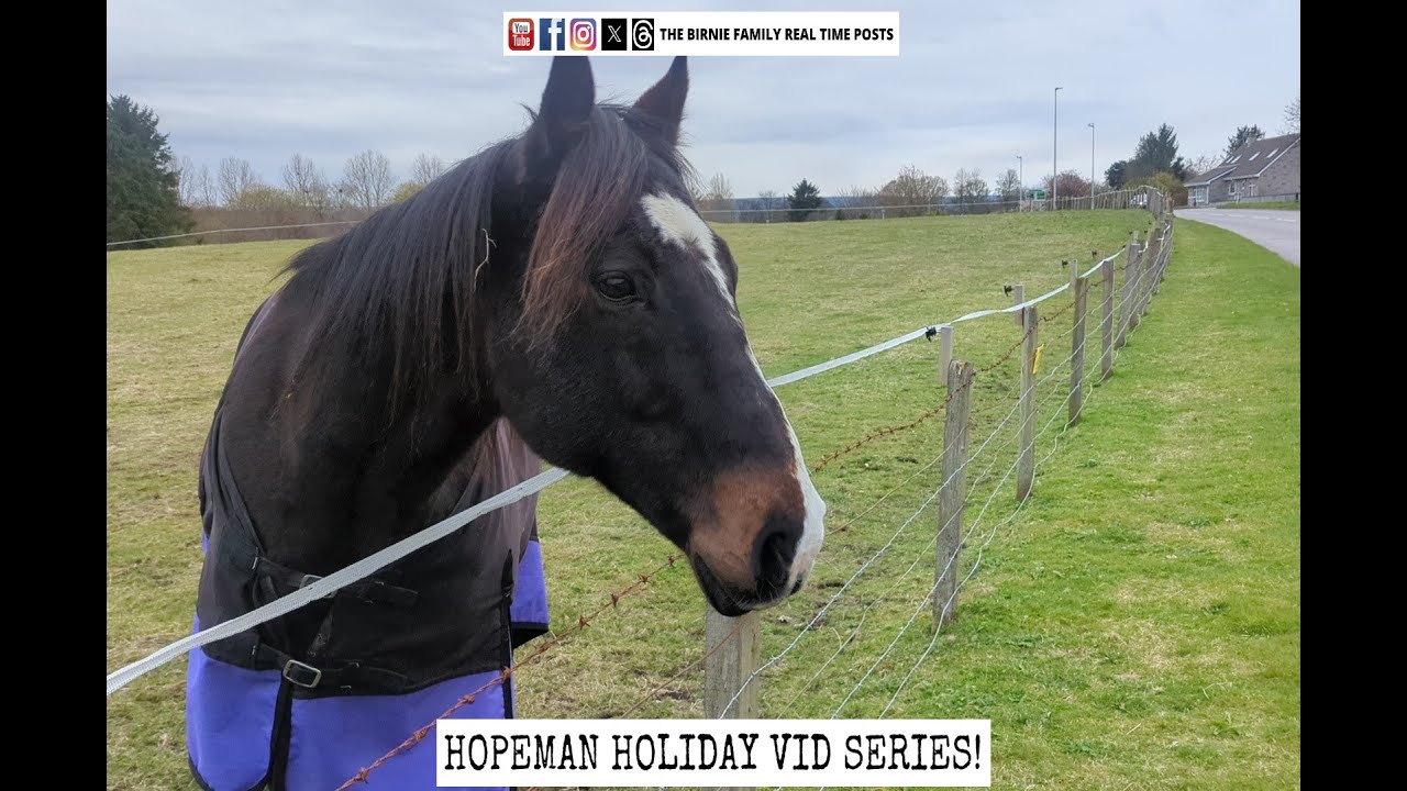 Running Back And Forth In The Lorry To See Our Horse Herbie | Hopeman Holiday #4 - BF Various Videos
