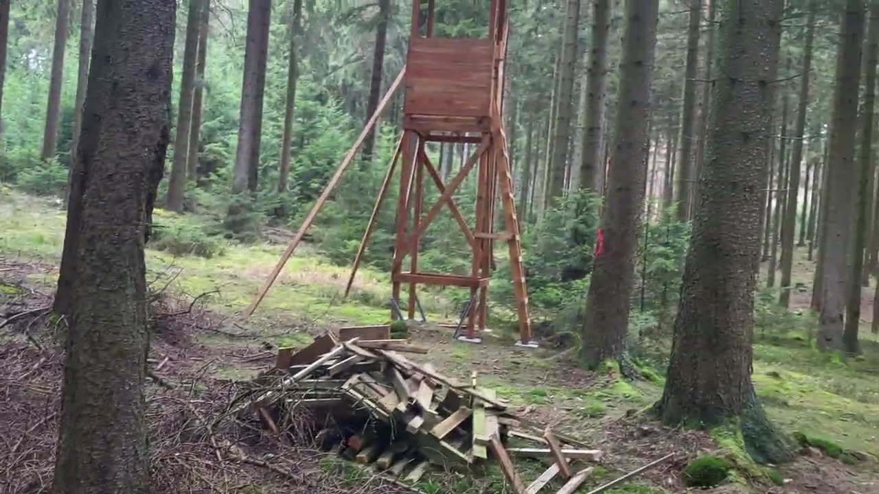 Gefährliche Brücke😱 Herbst Spaziergang - Traue ich mich rüber 😰