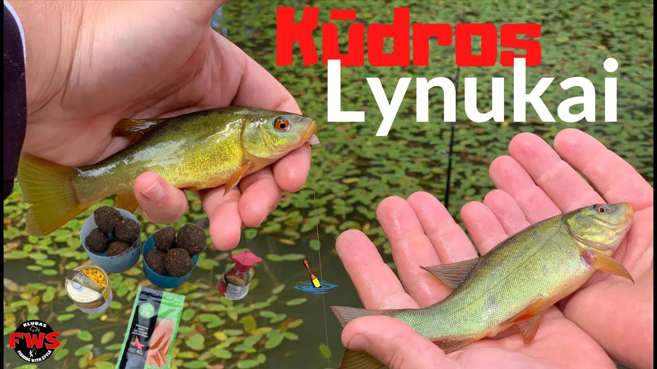 Lynų žvejyba netradiciniu jauku  2022 fws