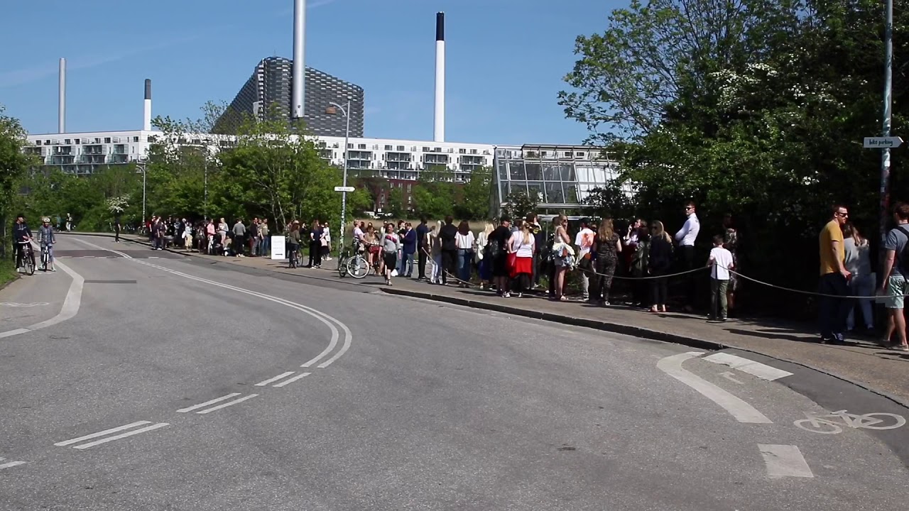 Enorm k&oslash; til Noma