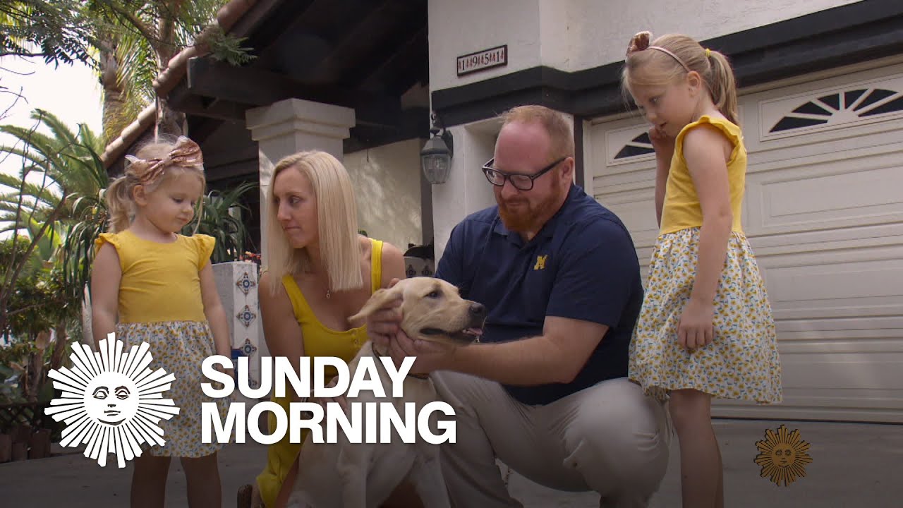 Pet cloning: Man's best friend, again