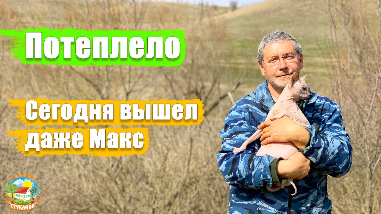 #163 Весна на Кубани, все гуляют! Посадили розы / Переезд из города в деревню