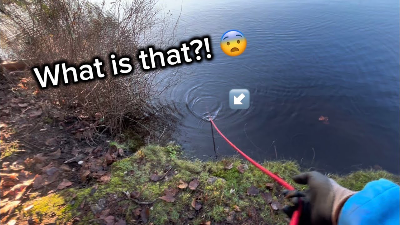 What the heck is that?! 🫢 (magnet fishing five mile lake park)
