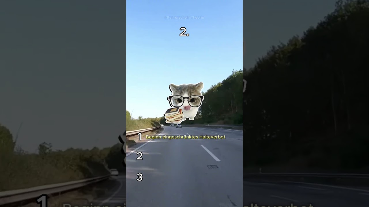 Führerschein Schilder lernen (010)
