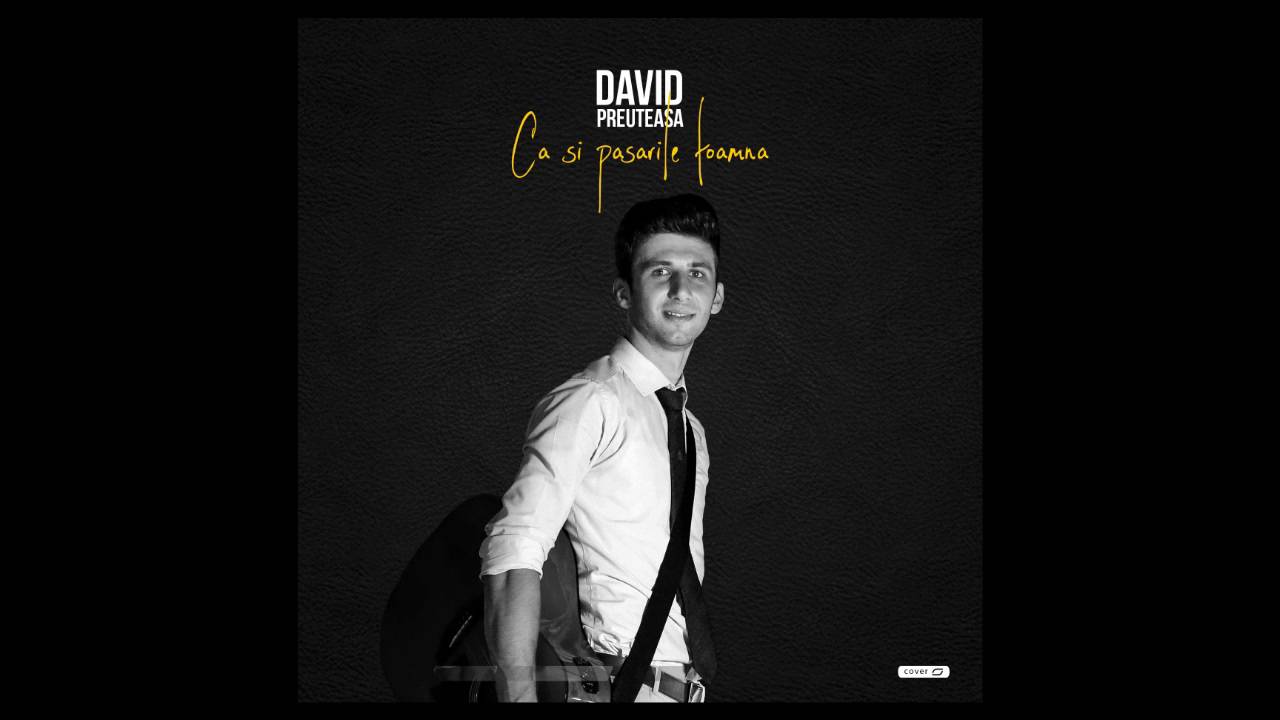 David Preuteasa - Ca si pasarile toamna (cover)