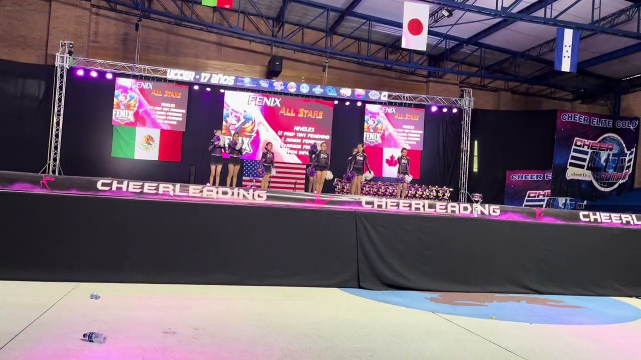 Copa Amor Amistad 2025 - Fenix Dance POMS