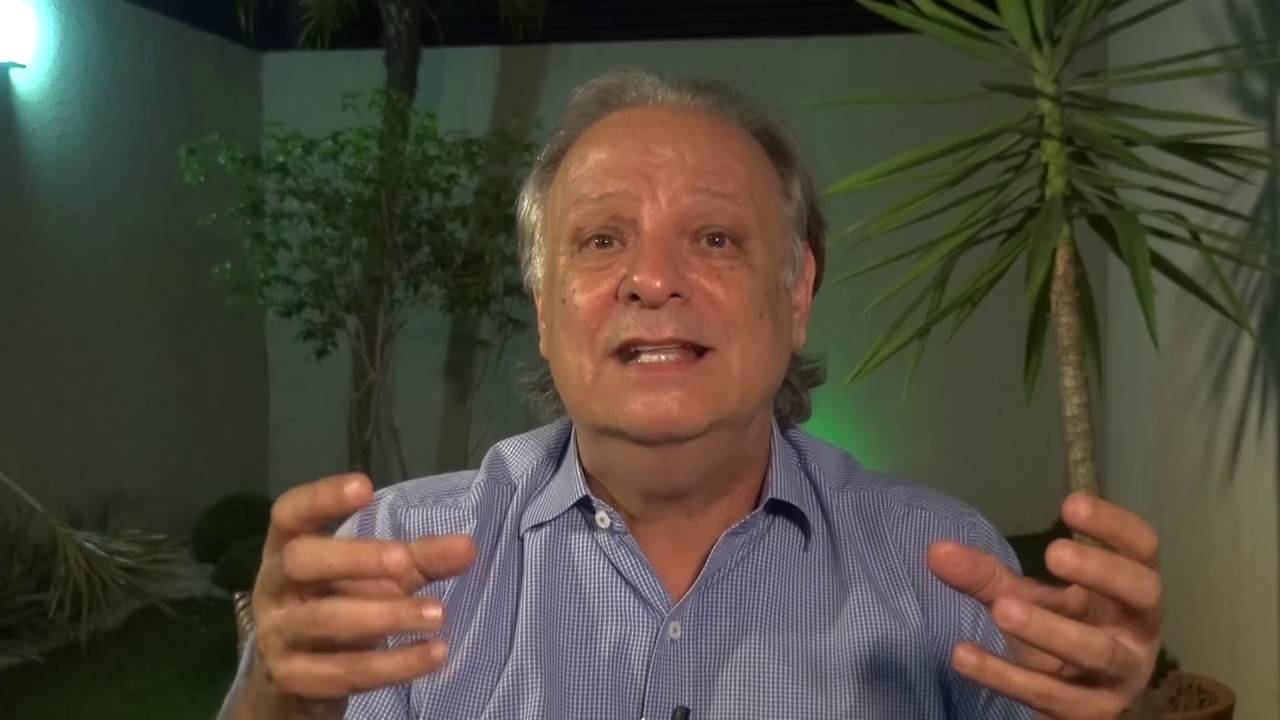 A história de sucesso da silvicultura em Mato Grosso do Sul - Florestas Online