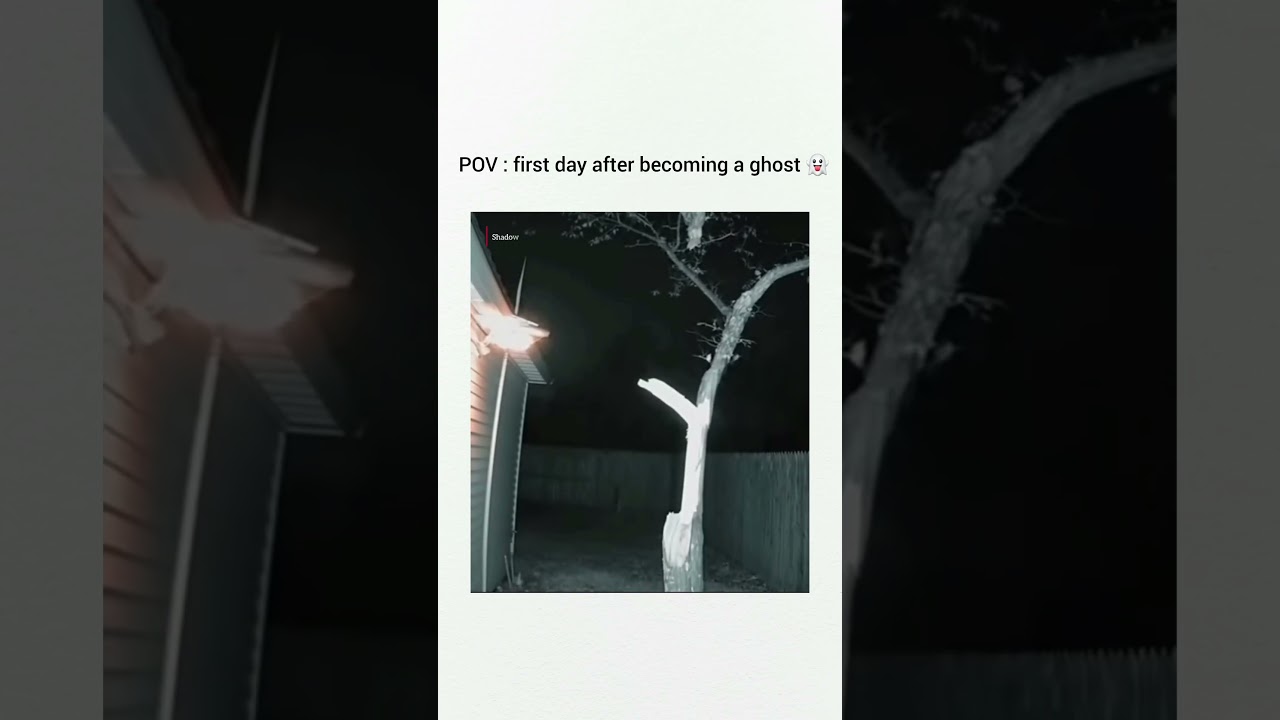 💀 POV: First Day as a Ghost and Already Failing My Flying Test 😂👻
