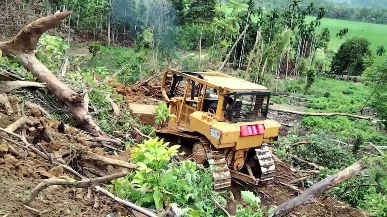 Amazing Process of Expanding Plantation Roads Using D6R XL Bulldozers in forest