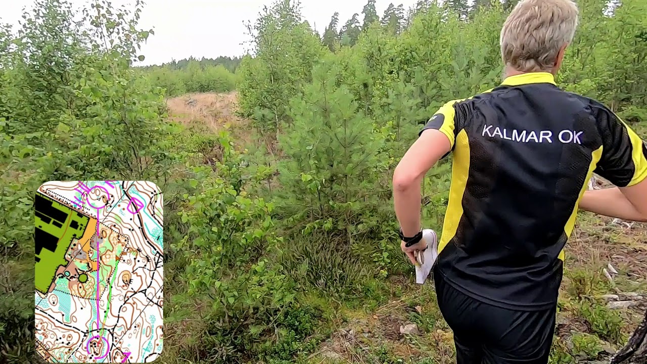 Orienteering - O-Ringen Kolmarden 2019 - day 2 Finspang