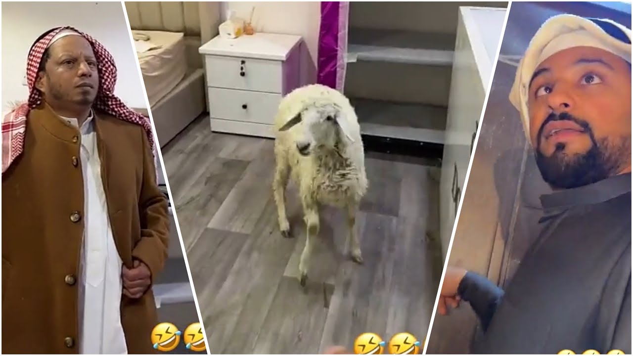 يشيل اثقال ويأكل فستق 🤣💔💔🤦🏻‍♂️