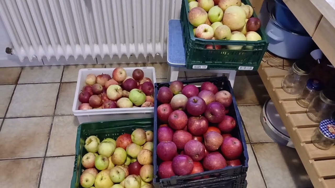 Apfelsaft ohne Zuckerzusatz mit dem Entsafter hergestellt 