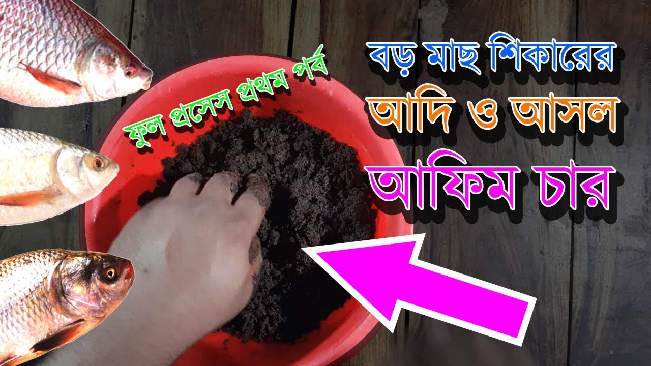 বড় মাছের ঐতিহাসিক আফিম চার বানানোর ফুল প্রসেস ১ম পার্ট Amazing Fishing Technique Opium Afim Char