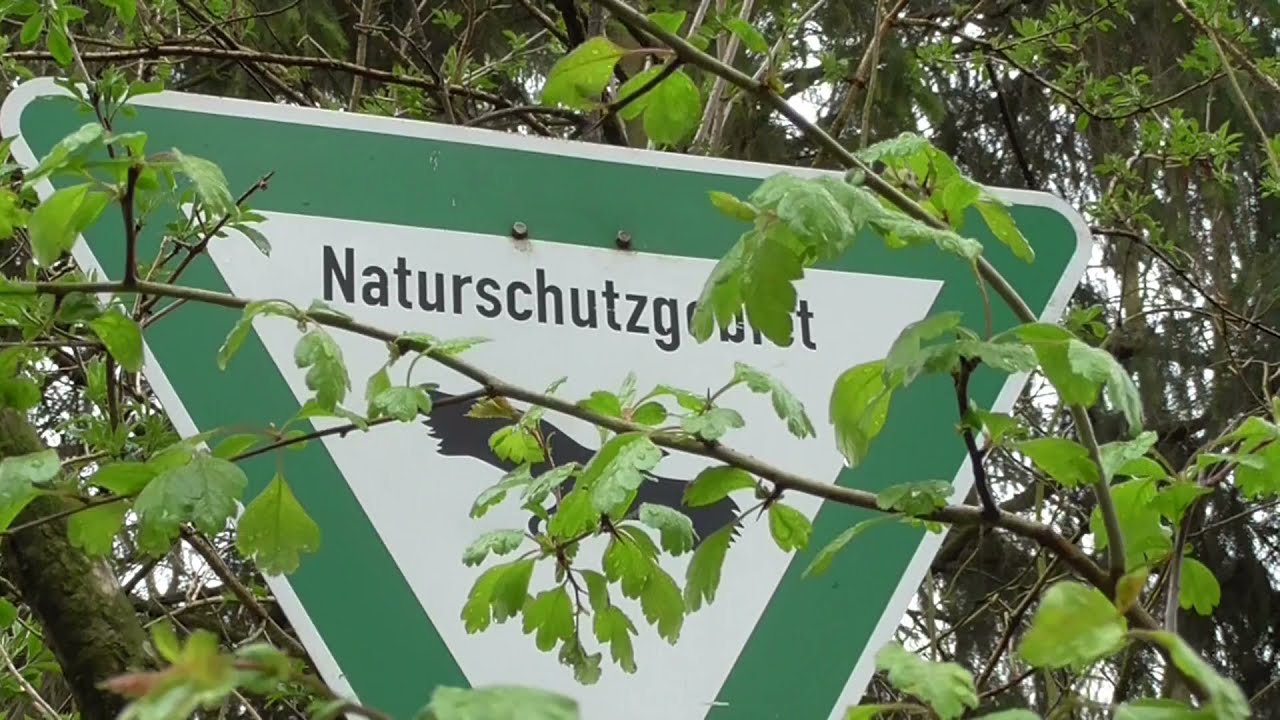 Eifelsteig - Stage 1: Kornelim&uuml;nster - Roetgen - 14 km