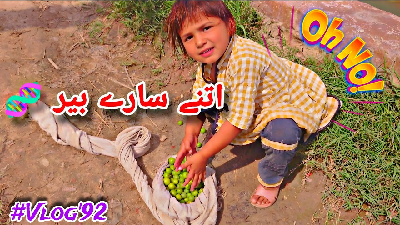 Zainab ko itne saare Ber kahan se mil gaye 😱 | Village Life Vlog 92 | Punjab Village Life | Punjab