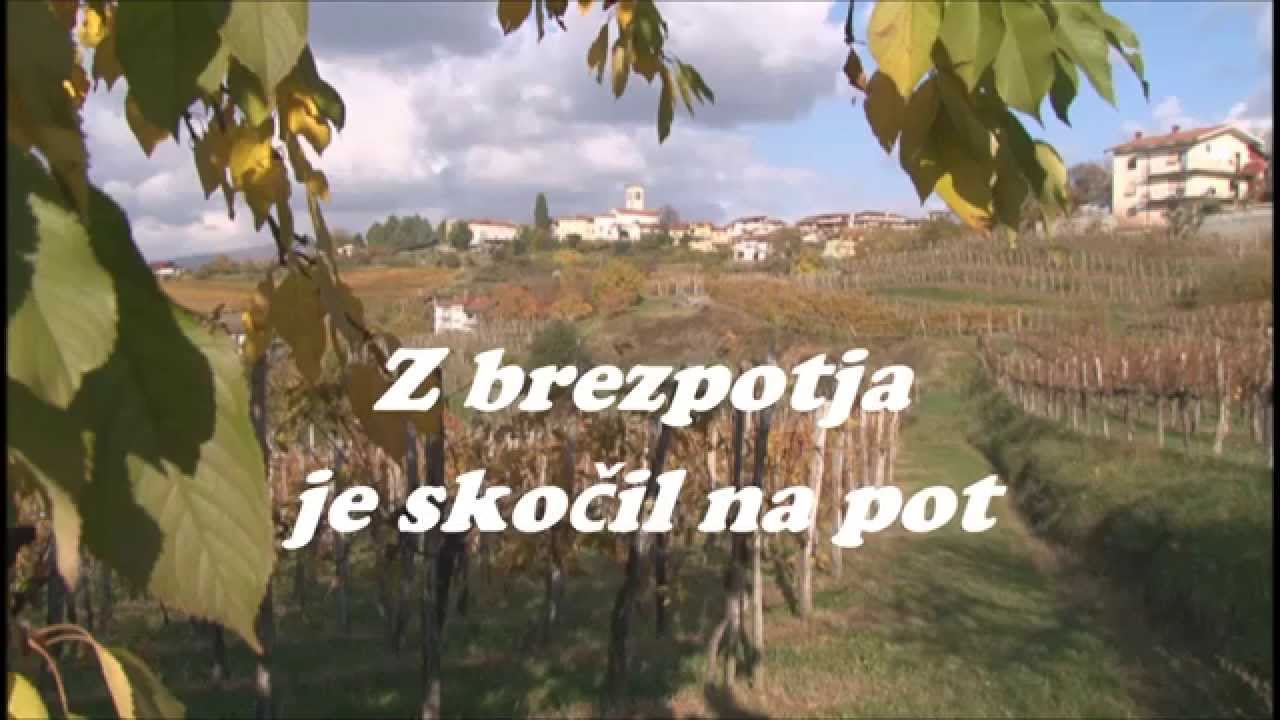 Z brezpotja je skočil na pot