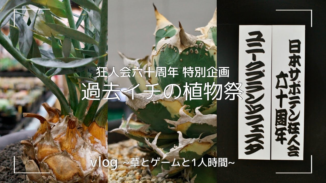 vlog | すごい株しかなかった 狂人会 ユニークプランツフェスタ に行ってきた