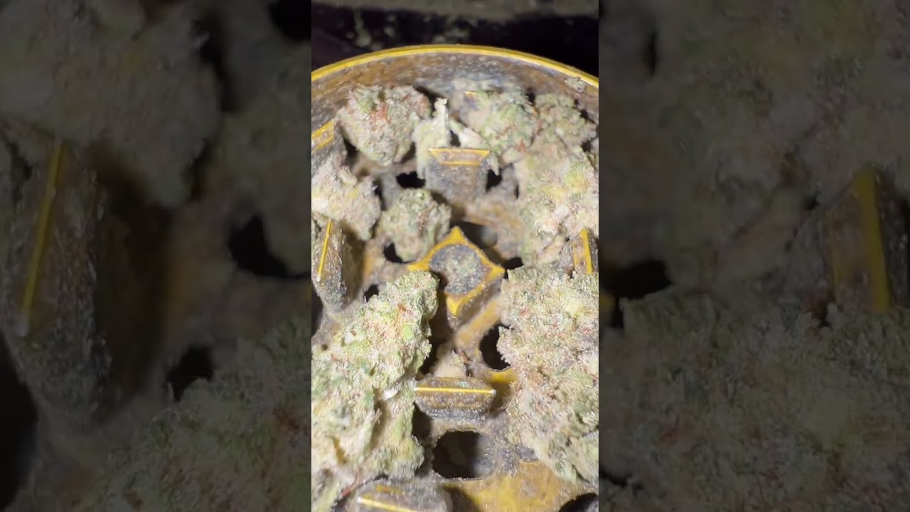 BC Sour Kush 😋
