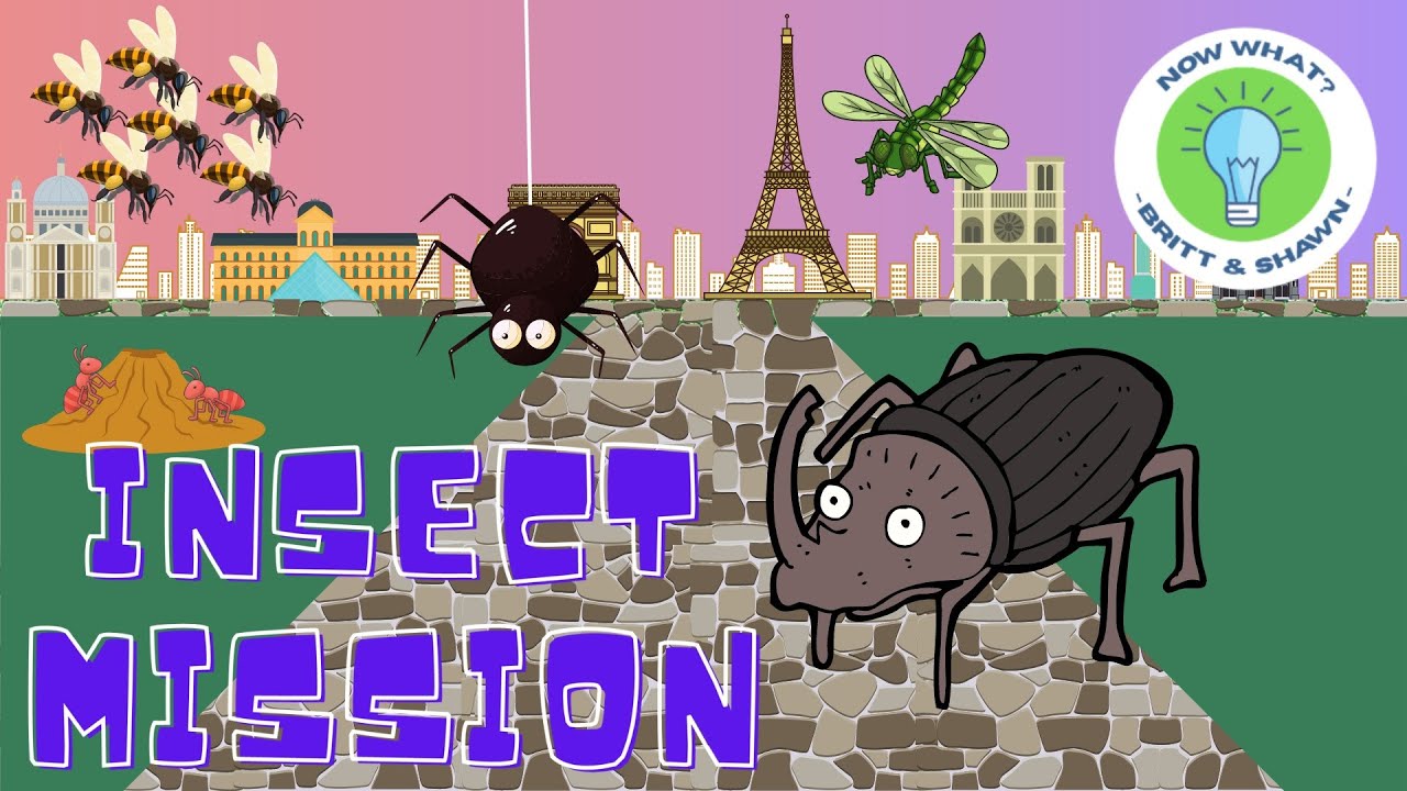 Insect Mission - PE Games and Chase Games | Virtual Physical Education | Brain Breaks