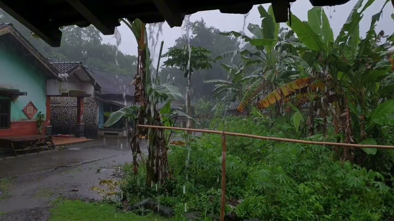 Suasana Hujan Deras: 1 Jam Suara Alam untuk Fokus, Belajar, dan Bekerja