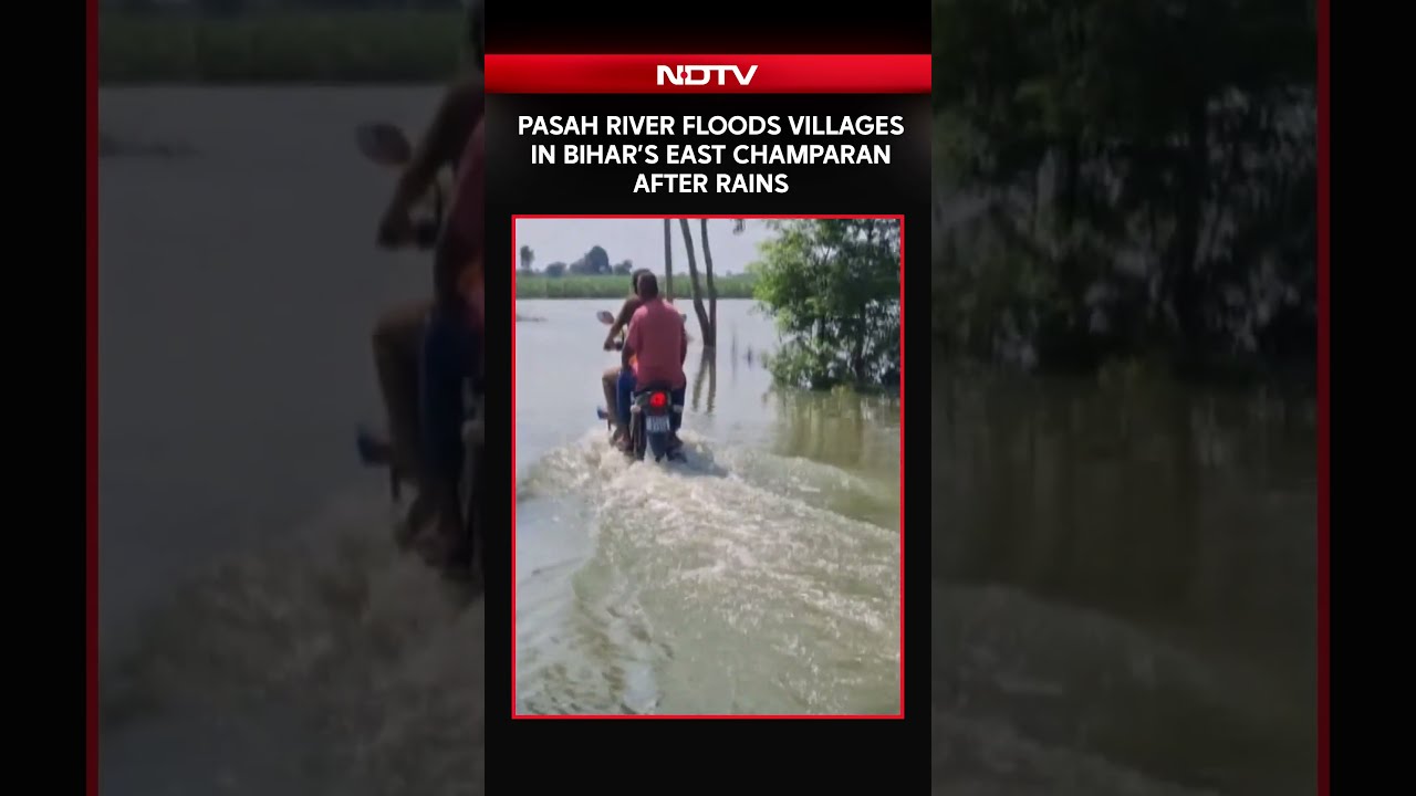 Bihar Floods | Pasah River Floods Several Villages In East Champaran Following Heavy Rains
