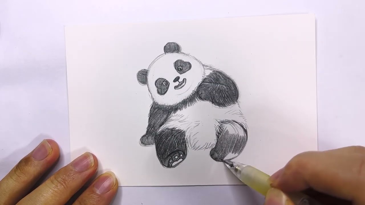 Draw panda Day 120🎉｜pencil sketch