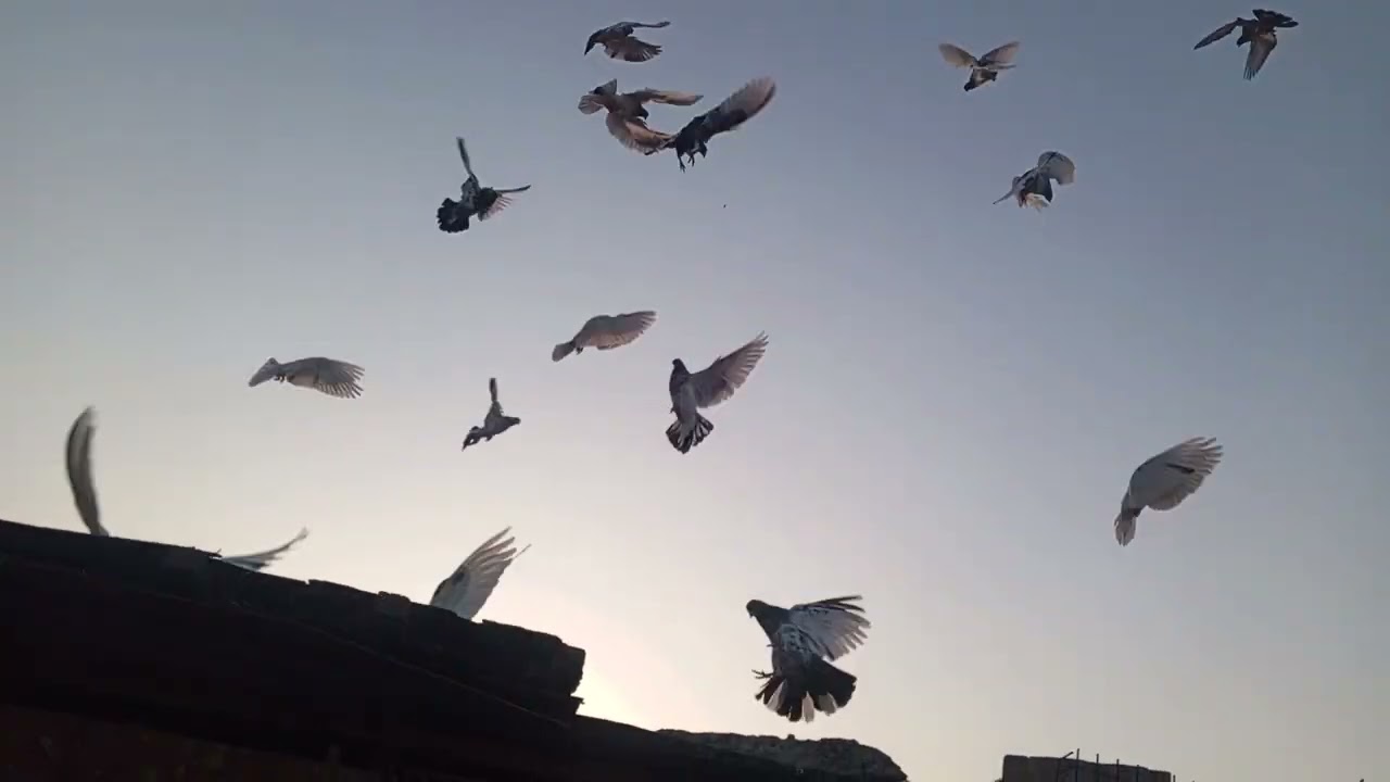 الغريب تعبني 🥴