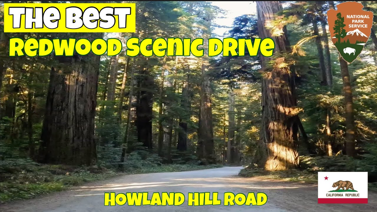 Road Trip through Jedediah Smith state park on Howland Hill Road in Redwood National Park.