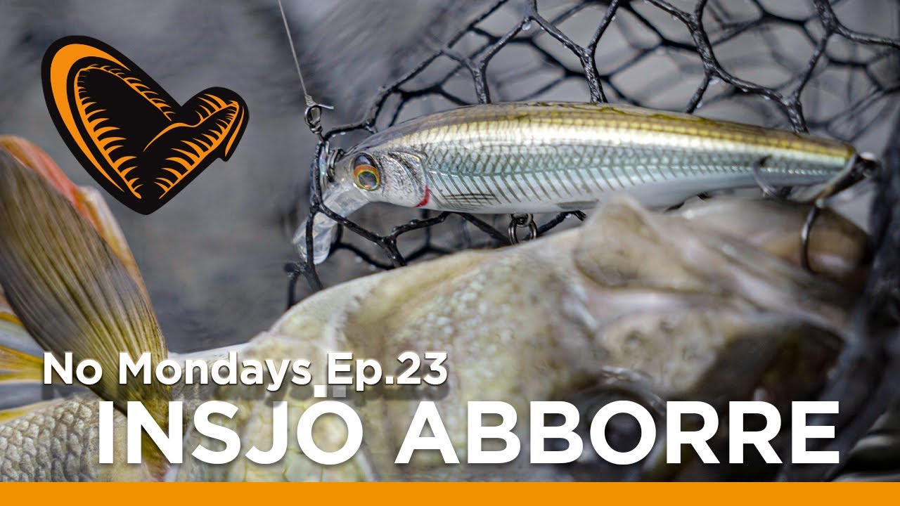 No mondays - Ep.23 - INSJÖ ABBBORRE