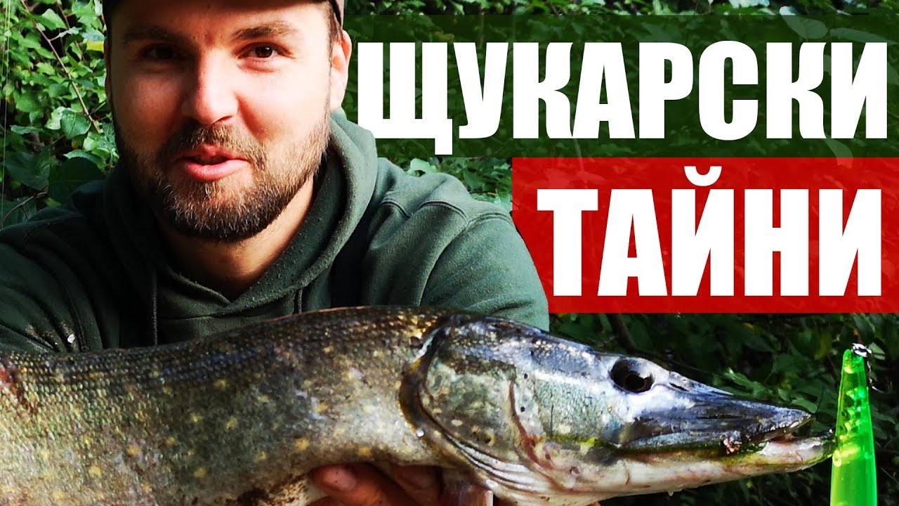 Всички ТАЙНИ за риболова на ЩУКА!!! Kъде да я открием? Проводки, примамки и цветове Pike fishing
