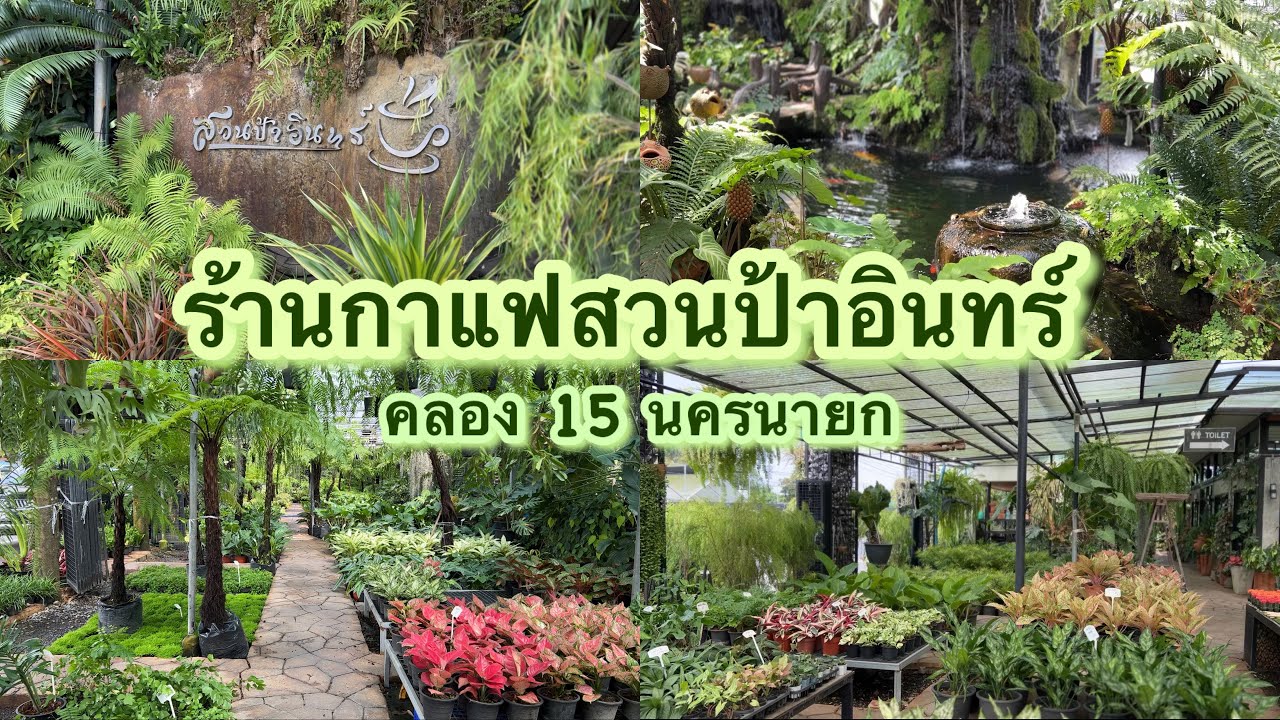 Vlog ; ร้านกาแฟสวนป้าอินทร์ คลอง15 นครนายก