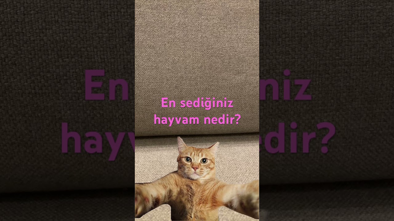 Yazın bakayım☺️