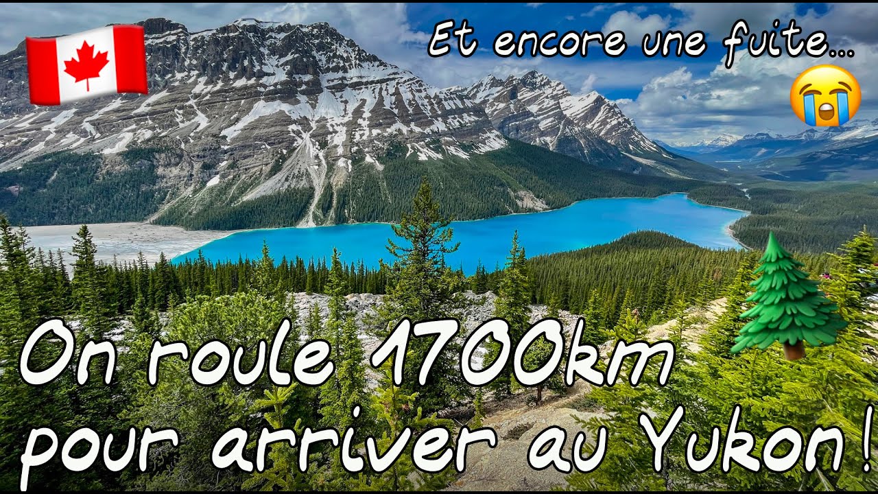 #41 L'appel du NORD 🧭 - En route vers le YUKON !