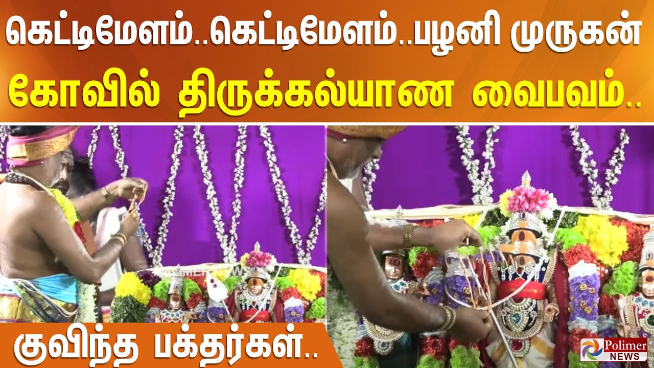 கெட்டிமேளம்.. கெட்டிமேளம்.. பழனி முருகன் கோவில் திருக்கல்யாண வைபவம்.. குவிந்த பக்தர்கள்..