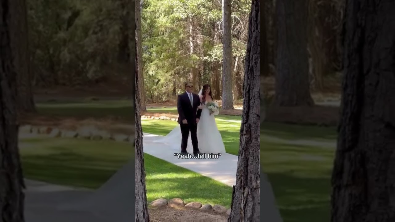 Отец невесты чуть не испортил свадебные фотографии! По ссылке: foresthouselodge #weddingvideos