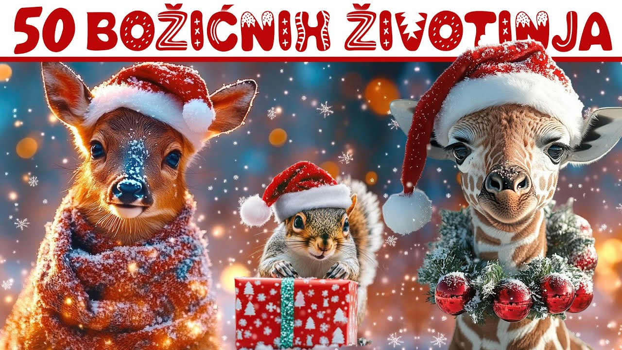 50 Božićnih Životinja za Djecu 🎄 Flash Kartice + Stvarne Snimke, Glasovi & Zanimljivosti