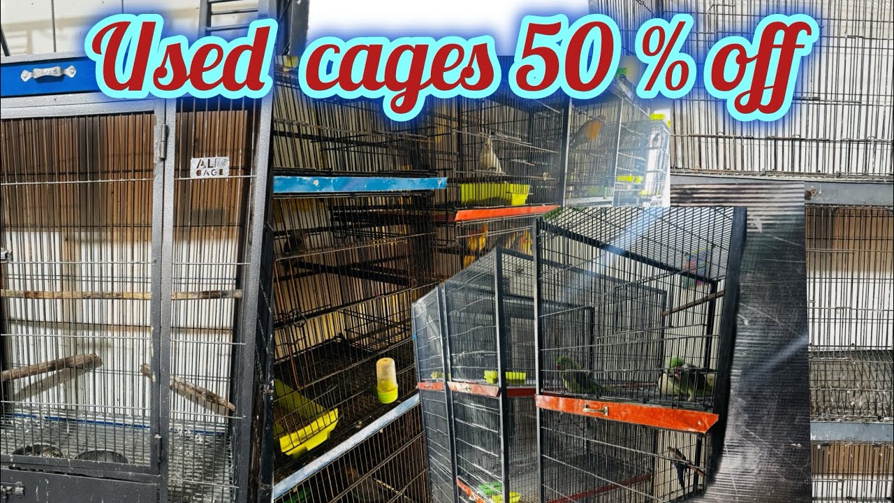 Used cages par mazaydar offer