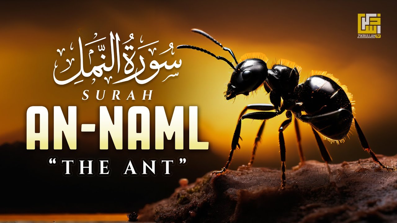Relaxing Recitation of Surah An-Naml (The Ants) - سورۃالنمل | Fabulous Voice | Zikrullah TV
